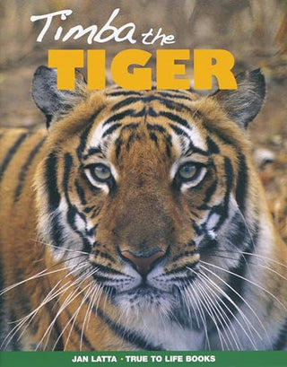 Timba The Tiger