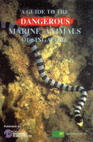 A Guide To The Dangerous Marine Animals Of Singapore - Thryft