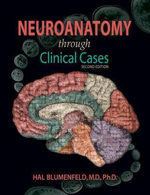 Neuroanatomy through Clinical Cases - Thryft