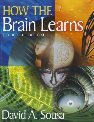How The Brain Learns - Thryft