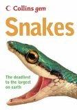 Snakes - Thryft