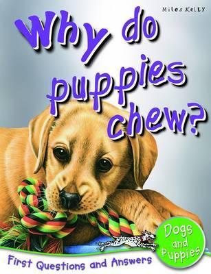 Why Do Puppies Chew? - First Questions and Answers