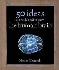 50 Human Brain Ideas You Really Need to Know - Thryft