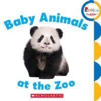 Baby Animals at the Zoo