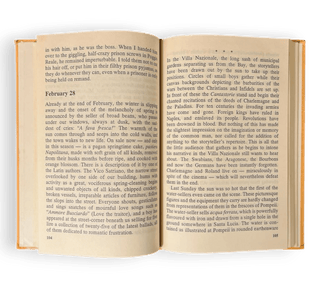 Naples '44: An Intelligence Officer in the Italian Labyrinth - Thryft
