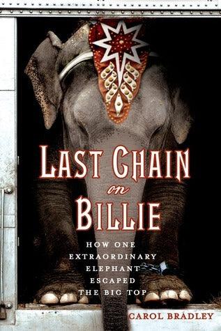 Last Chain on Billie - Thryft