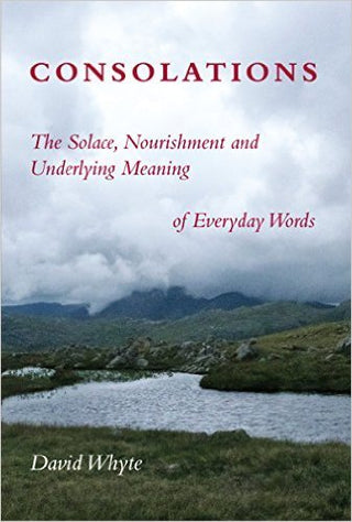 Consolations: The Solace, Nourishment and Underlying Meaning of Everyday Words