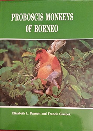 Proboscis Monkeys of Borneo