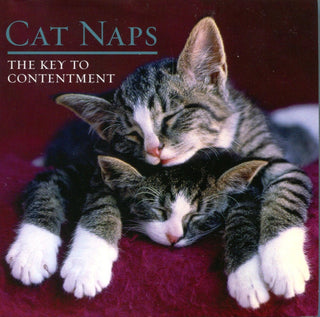 Cat Naps - The Key To Contentment - Thryft