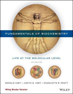 Fundamentals of Biochemistry : Life at the Molecular Level - Thryft