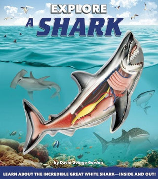 Explore a Shark - Thryft