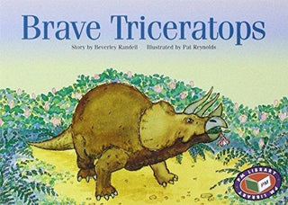 Brave Triceratops - Thryft