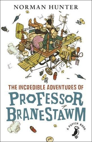 The Incredible Adventures of Professor Branestawm - Thryft