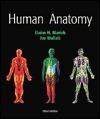 Human Anatomy - Thryft