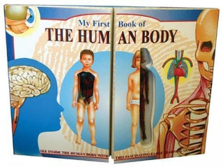 My First Book of the Human Body
