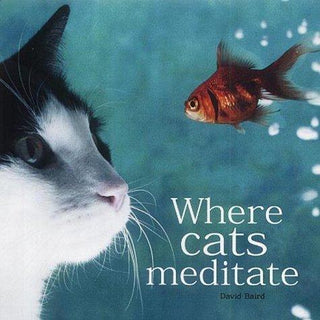 Where Cats Meditate - Thryft
