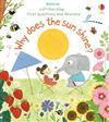 Lift The Flap First Questions And Answers Why Does The Sun Shine - Thryft