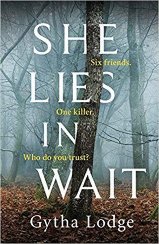 She Lies In Wait - A Novel - Thryft