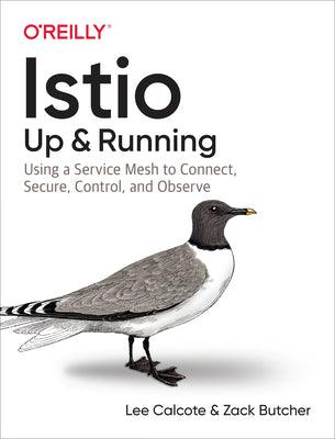 Istio: Up and Running : Using a Service Mesh to Connect, Secure, Control, and Observe - Thryft