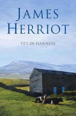 Vet in Harness - Thryft