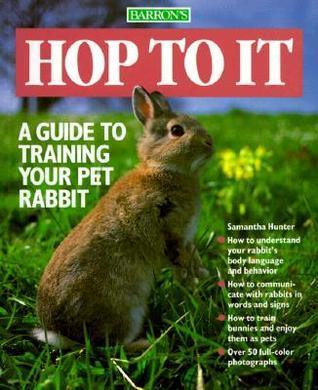 Hop To It - A Guide To Training Your Pet Rabbit - Thryft