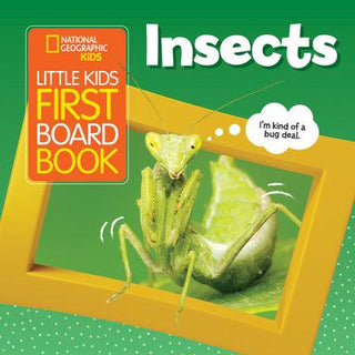Little Kids First Board Book: Insects - Thryft