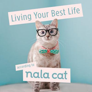 Living Your Best Life According to Nala Cat - Thryft