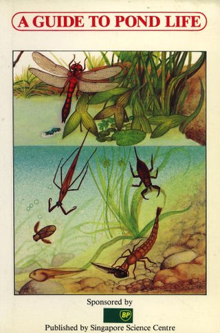 A Guide to Pond Life