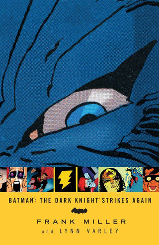 Batman: The Dark Knight Strikes Again - Thryft