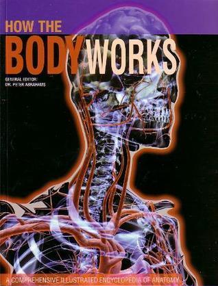 How the Body Works : A Comprehensive Illustrated Encyclopedia of Anatomy - Thryft