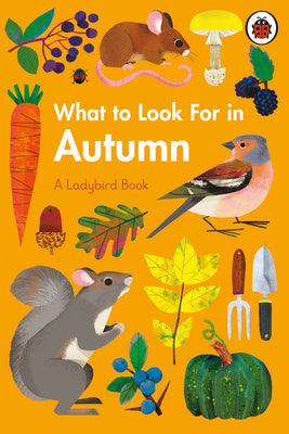 What To Look For In Autumn - Thryft