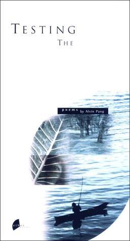 Testing The Silence: Poems