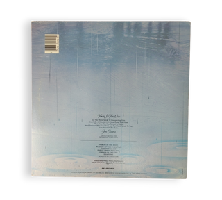 Voices In The Rain