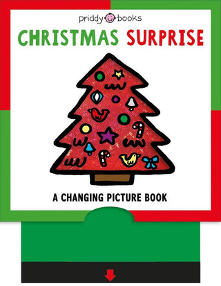 Christmas Surprise - A Changing Picture Book