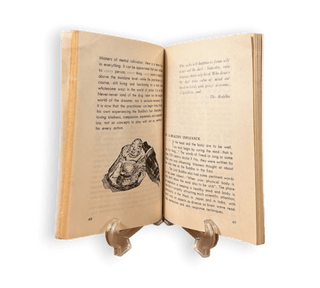 Meditation in the World of Action - Thryft