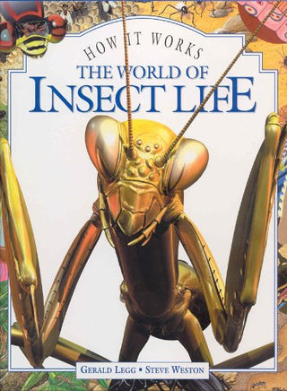 The World of Insect Life