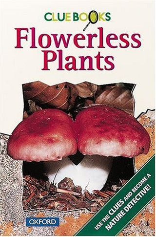 Flowerless Plants