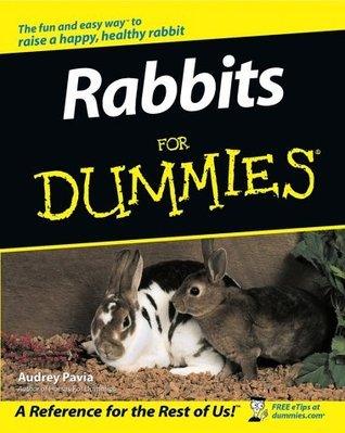 Rabbits for Dummies - Thryft
