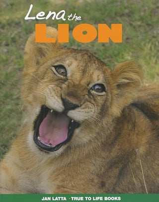 Lena the Lion
