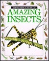 Amazing Insects - Eyewitness Juniors