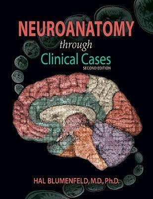 Neuroanatomy Through Clinical Cases - Thryft