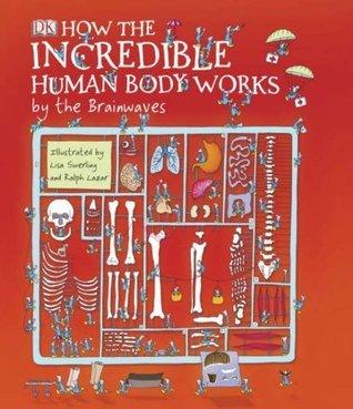 How The Incredible Human Body Works By The Brainwaves - Thryft