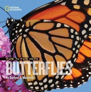 Face To Face With Butterflies - Thryft
