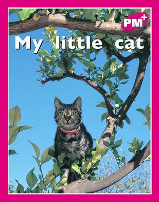 My Little Cat
