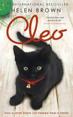 Cleo : How a small black cat helped heal a family - Thryft
