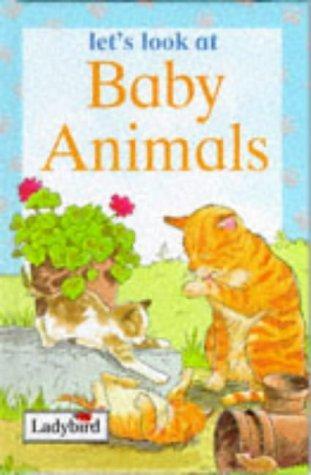 Baby Animals - Let's Look At