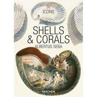 Shells and Corals - Thryft