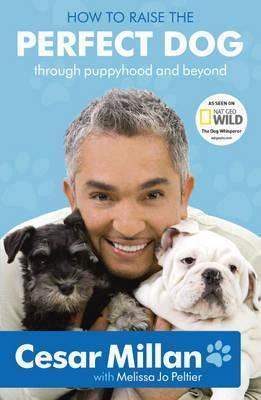 How to Raise the Perfect Dog - Thryft