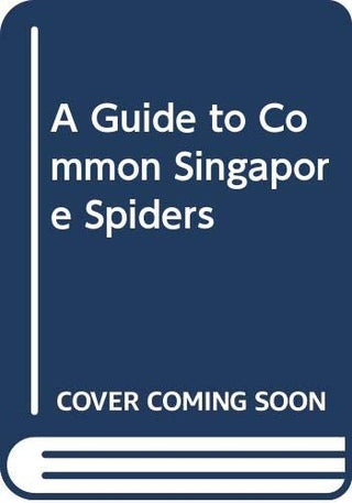 A Guide to Common Singapore Spiders