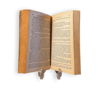 The Past Through Tomorrow Book Two - Thryft